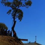 Flickr photo Bathurst12hr014-4717