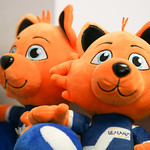 Flickr photo ua-elms-barcelona-225