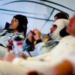 Flickr photo _H0Y3742