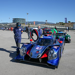 Flickr photo United-Autosports-MLMC-Portimao-012