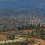 Flickr photo United-Autosports-ELMS-Portimao-215