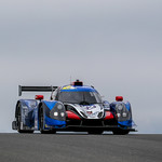 Flickr photo United-Autosports-MLMC-Portimao-129