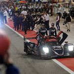 Flickr photo 22-0004