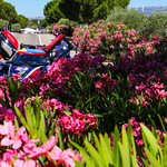 Flickr photo UA-MLMC-2020-Paul-Ricard-006