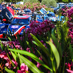 Flickr photo UA-MLMC-2020-Paul-Ricard-015