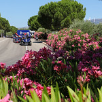 Flickr photo UA-MLMC-2020-Paul-Ricard-005