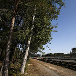 Flickr photo 32-0009