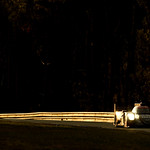 Flickr photo 22-016 2