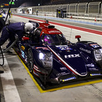 Flickr photo 22-0008