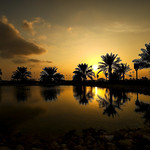 Flickr photo Bahrain-0002