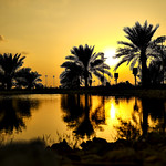 Flickr photo Bahrain-0003