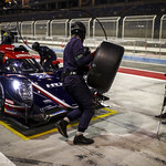 Flickr photo 22-0003