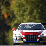 Flickr photo _LP_8475