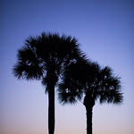 Flickr photo JPrice_IMSA_Fri_Sebring2021-4567