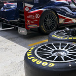 Flickr photo UA-ELMS-Barcelona-2021-224