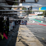 Flickr photo 12 04 2021 9318 (1)