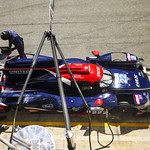 Flickr photo UA-ELMS-Barcelona-2021-083