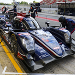 Flickr photo UA-ELMS-Barcelona-2021-173