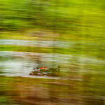 Practice, European Le Mans Series, Red Bull Ring, Spielberg, Austria