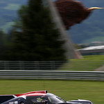 Flickr photo United-Autosports-RBR-2021-025