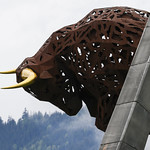 Flickr photo United-Autosports-RBR-2021-228