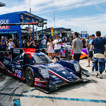 Flickr photo DSC_4023