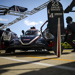 Flickr photo 23-0011