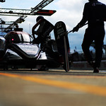 Flickr photo 22-0002 (3)