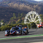 Flickr photo UA-ELMS-2021-Portimao-532