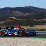 Flickr photo UA-ELMS-2021-Portimao-110
