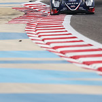 Flickr photo 22_FRI_FP2-3619