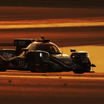 Flickr photo UA_Race-3997