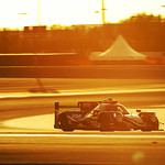 Flickr photo 22-0000041