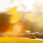 Flickr photo DSC_4096