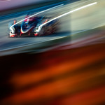 Flickr photo cobb_Petit2021-131121-5894-Edit