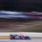 Flickr photo cobb_Petit2021-111121-0821