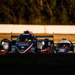 Flickr photo cobb_Petit2021-131121-6016