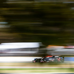 Flickr photo cobb_Petit2021-131121-5709