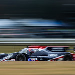 Flickr photo cobb_Petit2021-111121-0848