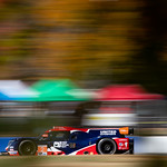 Flickr photo cobb_Petit2021-131121-5598