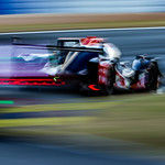 Flickr photo cobb_Petit2021-141121-6458