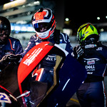 Flickr photo cobb_Petit2021-111121-2386