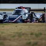 Flickr photo cobb_Petit2021-111121-1158