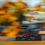 Flickr photo DSC_4138