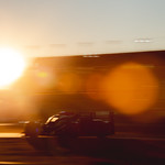 Flickr photo DSC_4474