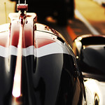 Flickr photo 22-0Q3A6237