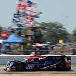 Flickr photo 22-PM7_3114