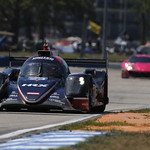 Flickr photo 23-PM6_0817