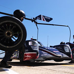 Flickr photo 23-7B1A3081