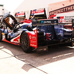 Flickr photo 22-7B1A3924